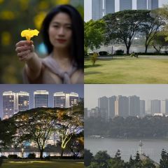 福州融僑皇冠假日飯店·美廚滙全日餐廳張用戶圖片