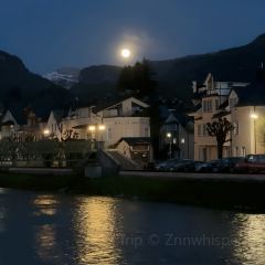 Konditorei Zauner User Photo