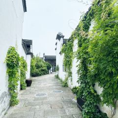 寻宝记绍兴菜(笛扬楼店) User Photo