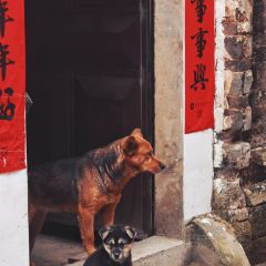 两棵树馄饨店(渔梁住保小区店) User Photo