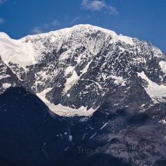 猫屎咖啡(天全服务区店) User Photo