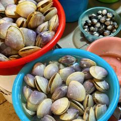 企沙渔港 User Photo