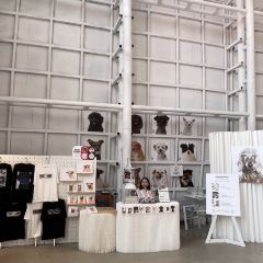 SOMEWHERE kitchen User Photo