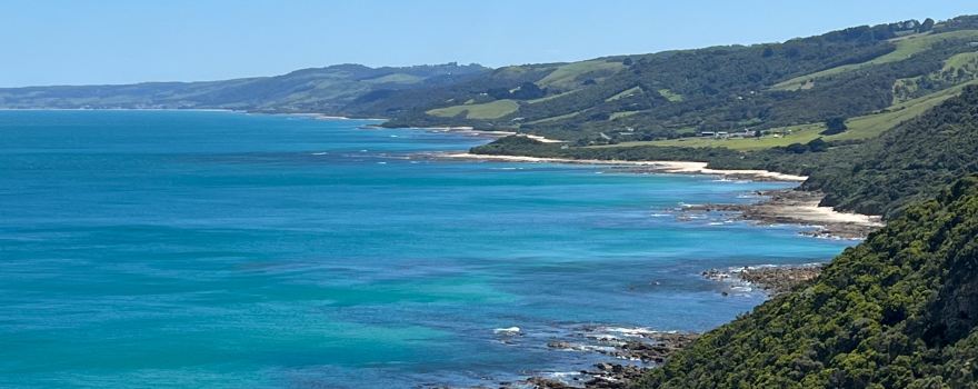 Cape Patton Lookout