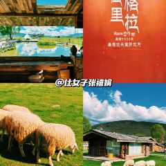 黑豆咖啡屋 여행 사진