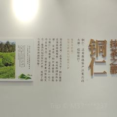 小芳剪粉 User Photo