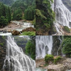 Yao yue lou (guo jin zhong xin) User Photo