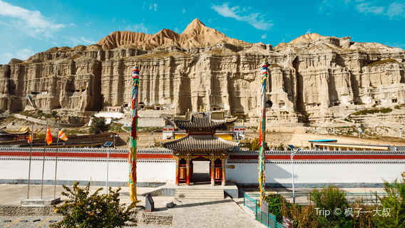 la mao zhi he si