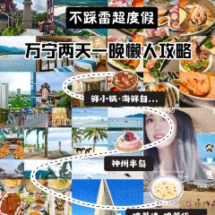 Nyonya Kebaya-A taste of Malaysia User Photo