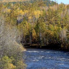 额尔古纳奇乾乡二黑农家院 User Photo