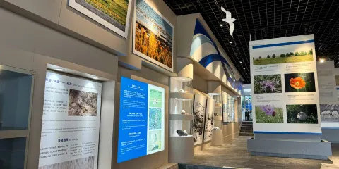 克什克騰世界地質公園博物館
