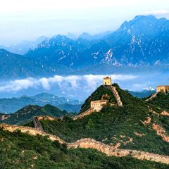 DA WEI ROAST WHOLE LAMB User Photo