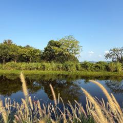 树蛙部落(仙女湖店)·餐厅 User Photo