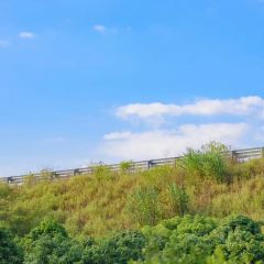 明味生態農莊張用戶圖片