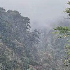 TheWinstonBar User Photo