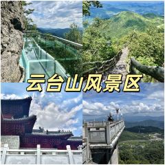 SHANGXILEICHA User Photo