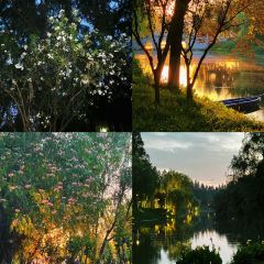 Juzhenyuan Home-Style Cooking User Photo