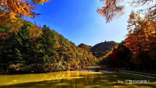 ceng jia shan rong le yang sheng gu