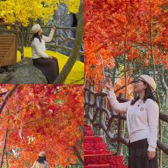 霞客食府張用戶圖片