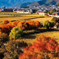 一品凉饭庄·建水人家分店 User Photo