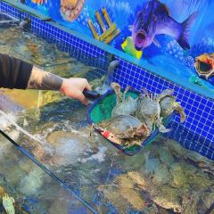 ZHOU SHAN OLD ANGLER User Photo