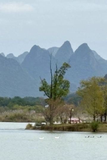 Lvxingka 台北花園大酒店優惠