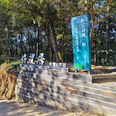 SAN BAO BIE YUAN REASTAURANT User Photo