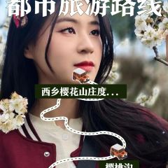 西鄉櫻花山莊度假村用戶圖片