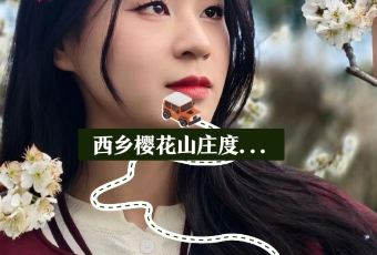 西乡樱花山庄度假村 User Photo