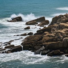 徐福记湛江烤生蚝 User Photo