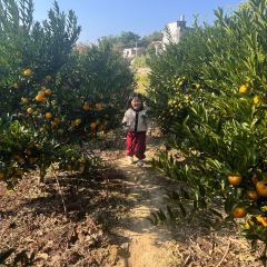 明味生態農莊張用戶圖片