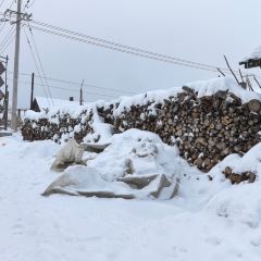 韩嫂农家院 User Photo