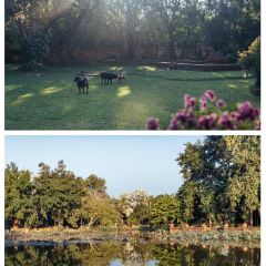 The Terracotta Garden At Lamphun User Photo