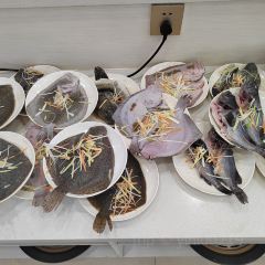 Da Hai steam seafood  buffet User Photo