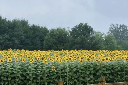 人民公社(神农北路店)