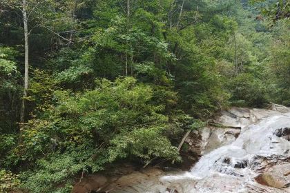 罗田天堂寨吊锅(英山店)