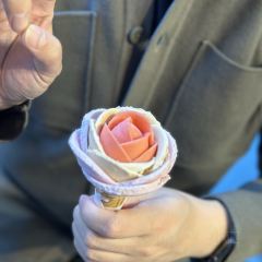 Gelarto Rosa User Photo