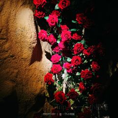 Vault Bar User Photo