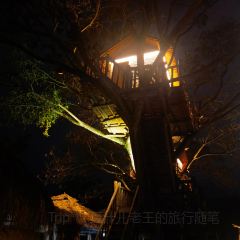 佤王宴(景洪分店) User Photo