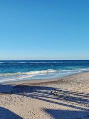 Cabo Pulmo Beach