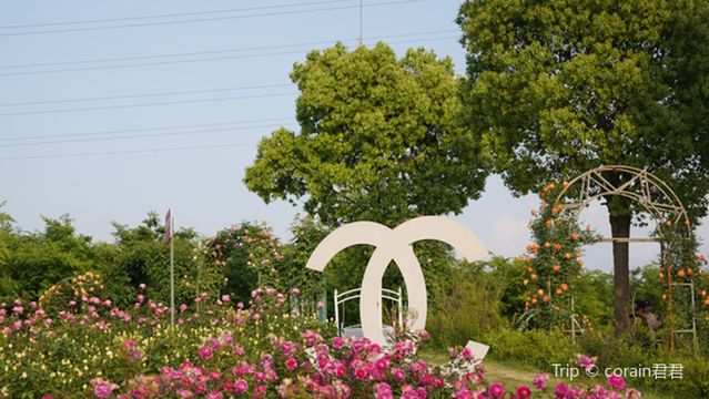 Austin Rose Garden