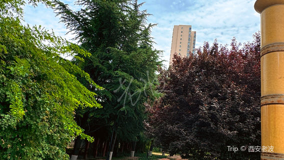 Guzheng Park (North Gate)
