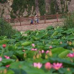 Yijunge (weiduoliya) User Photo