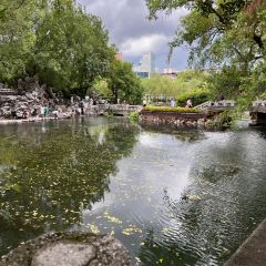 祥祥湯包店張用戶圖片