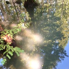 凡塔夕 User Photo