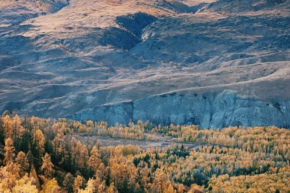 白哈巴克亚特牧舍