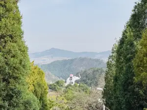 天香楼水馅包孑