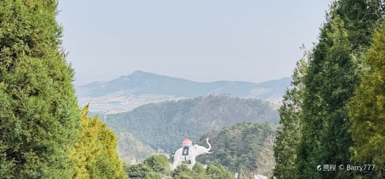 天香楼水馅包孑