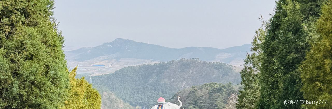 天香楼水馅包孑