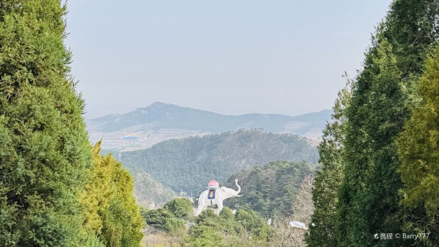 天香楼水馅包孑